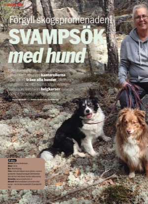 aftonbladet_sondag-20220703_000_00_00_008.pdf