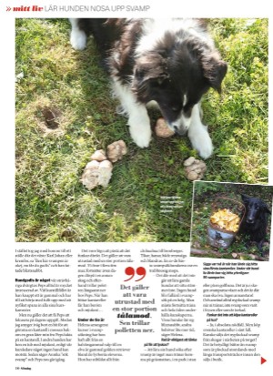 aftonbladet_sondag-20220703_000_00_00_010.pdf