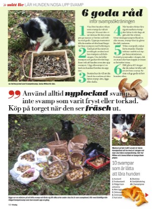 aftonbladet_sondag-20220703_000_00_00_012.pdf