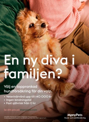 aftonbladet_sondag-20220703_000_00_00_015.pdf