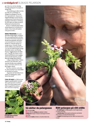 aftonbladet_sondag-20220703_000_00_00_062.pdf
