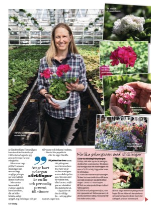 aftonbladet_sondag-20220703_000_00_00_064.pdf