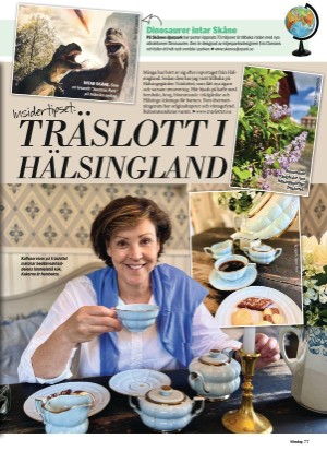 aftonbladet_sondag-20220710_000_00_00_077.pdf