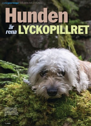 aftonbladet_sondag-20220821_000_00_00_010.pdf