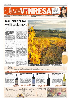 aftonbladet_sondag-20251109_000_00_00_023.pdf