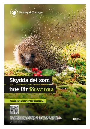 aftonbladet_sport-20251124_000_00_00_010.pdf