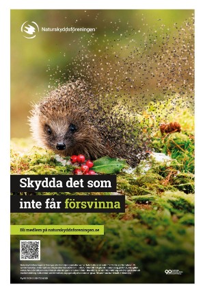 aftonbladet_sport-20251201_000_00_00_012.pdf