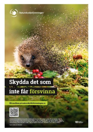 aftonbladet_sport-20251203_000_00_00_010.pdf