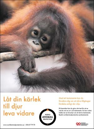 aftonbladet_tv-20200928_000_00_00_094.pdf