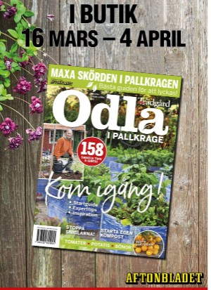 aftonbladet_tv-20210315_000_00_00_094.pdf