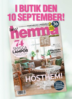 aftonbladet_tv-20210913_000_00_00_093.pdf