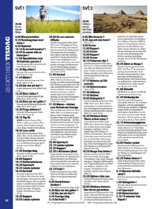 aftonbladet_tv-20211018_000_00_00_082.pdf