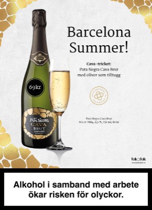 aftonbladet_tv-20220627_000_00_00_099.pdf