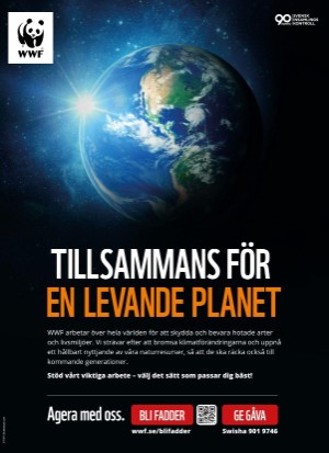 aftonbladet_tv-20250602_000_00_00_002.pdf