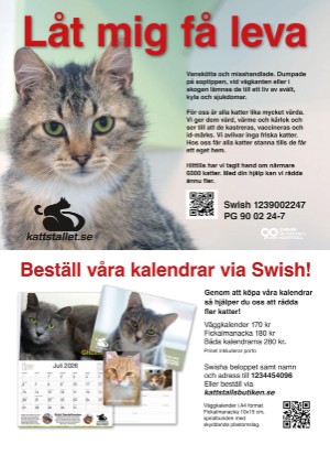 aftonbladet_tv-20250929_000_00_00_093.pdf