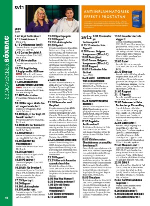 aftonbladet_tv-20251117_000_00_00_058.pdf
