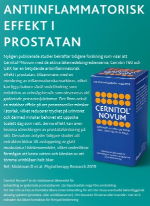 aftonbladet_tv-20251117_000_00_00_093.pdf