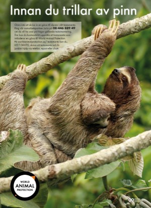 aftonbladet_tv-20251117_000_00_00_094.pdf