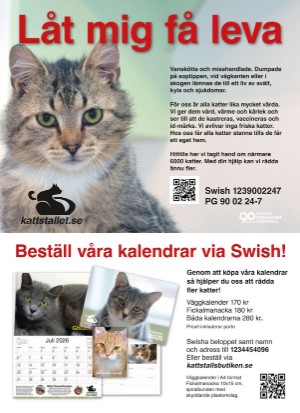 aftonbladet_tv-20251124_000_00_00_099.pdf