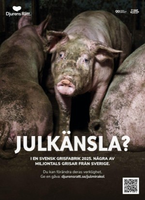 aftonbladet_tv-20251201_000_00_00_100.pdf