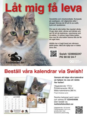 aftonbladet_tv-20251222_000_00_00_093.pdf