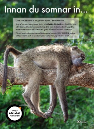 aftonbladet_tv-20260112_000_00_00_100.pdf