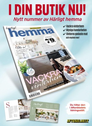 aftonbladet_tv-20260119_000_00_00_100.pdf