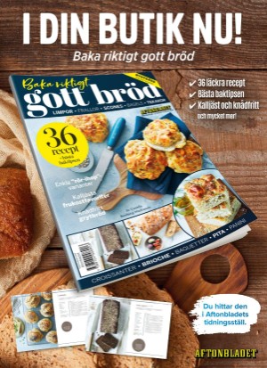 aftonbladet_tv-20260126_000_00_00_002.pdf