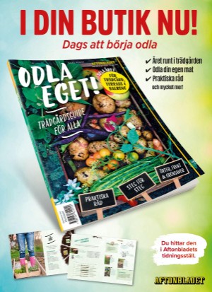 aftonbladet_tv-20260302_000_00_00_099.pdf