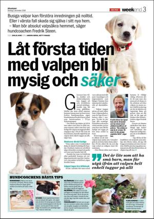 aftonbladet_we-20191201_000_00_00_003.pdf