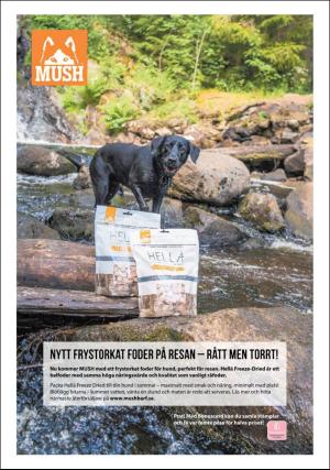 aftonbladet_we-20200726_000_00_00_011.pdf
