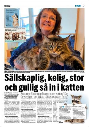 aftonbladet_we-20200808_000_00_00_005.pdf