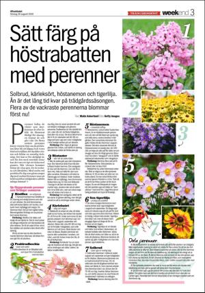 aftonbladet_we-20200830_000_00_00_003.pdf