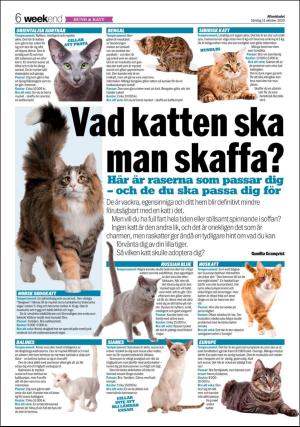 aftonbladet_we-20201011_000_00_00_006.pdf