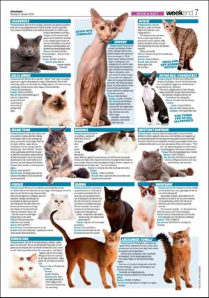 aftonbladet_we-20201011_000_00_00_007.pdf