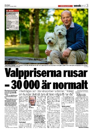 aftonbladet_we-20201129_000_00_00_003.pdf