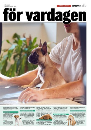 aftonbladet_we-20201129_000_00_00_005.pdf