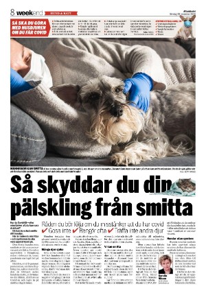 aftonbladet_we-20201129_000_00_00_008.pdf
