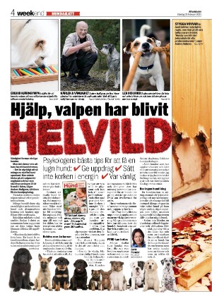 aftonbladet_we-20210221_000_00_00_004.pdf