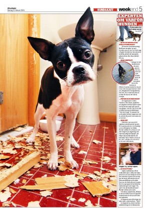 aftonbladet_we-20210221_000_00_00_005.pdf