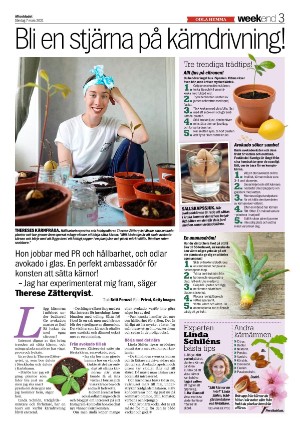 aftonbladet_we-20210307_000_00_00_003.pdf