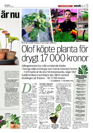 aftonbladet_we-20210307_000_00_00_005.pdf