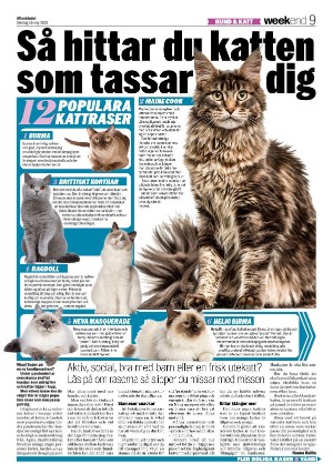 aftonbladet_we-20210516_000_00_00_009.pdf