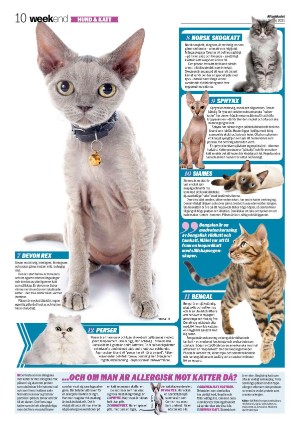 aftonbladet_we-20210516_000_00_00_010.pdf