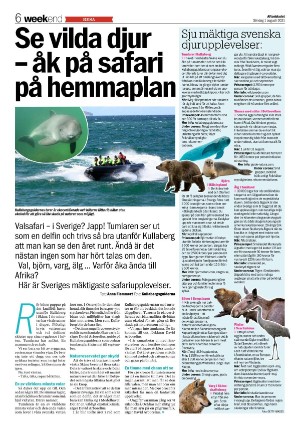 aftonbladet_we-20210801_000_00_00_006.pdf