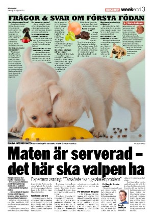 aftonbladet_we-20210829_000_00_00_003.pdf