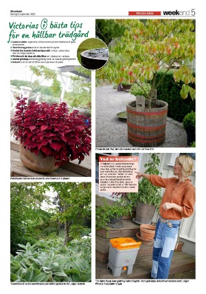 aftonbladet_we-20210905_000_00_00_005.pdf