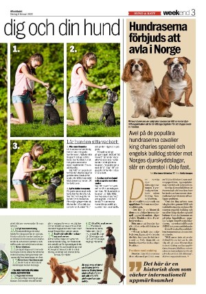 aftonbladet_we-20220206_000_00_00_003.pdf