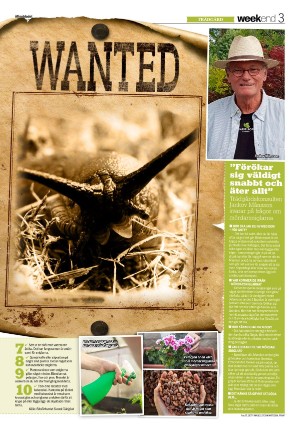 aftonbladet_we-20220710_000_00_00_003.pdf
