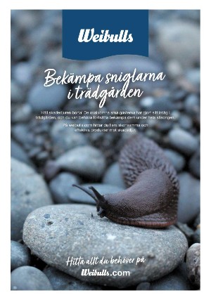 aftonbladet_we-20220710_000_00_00_012.pdf
